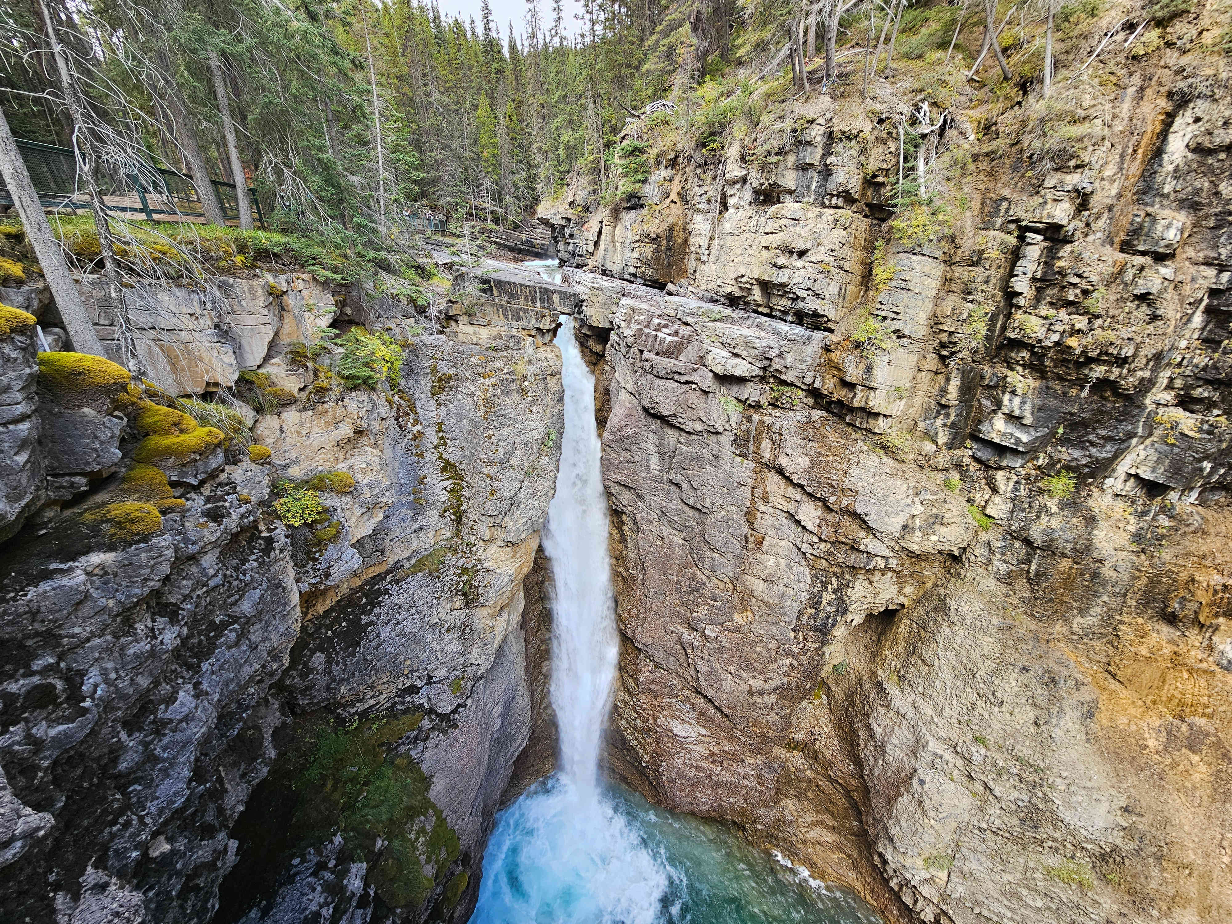 NP Banff